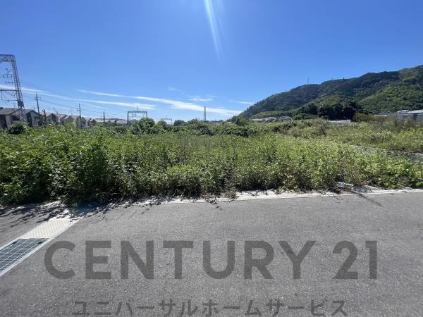 3号地