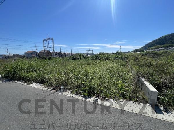 3号地