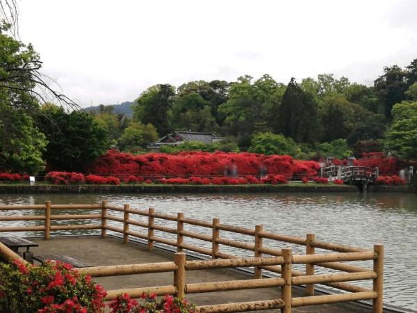 長岡京市梅が丘１丁目の土地