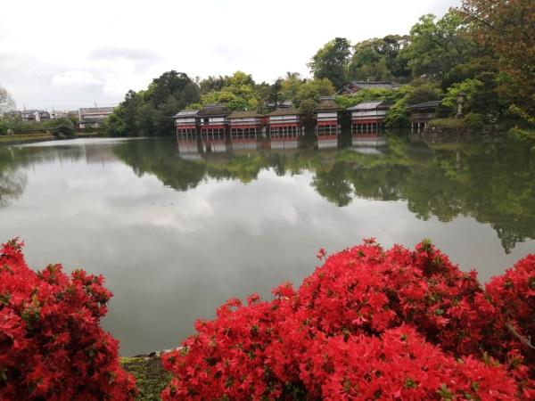 長岡京市梅が丘１丁目の土地