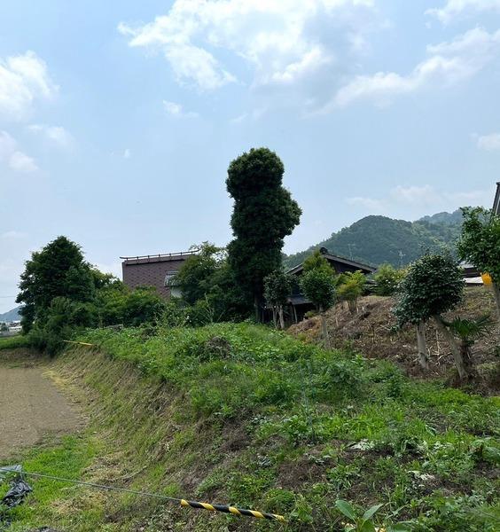 南丹市八木町大薮上中島の売土地
