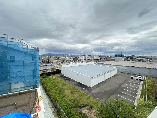 15号地