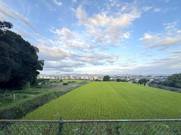 乙訓郡大山崎町字円明寺小字香田の土地
