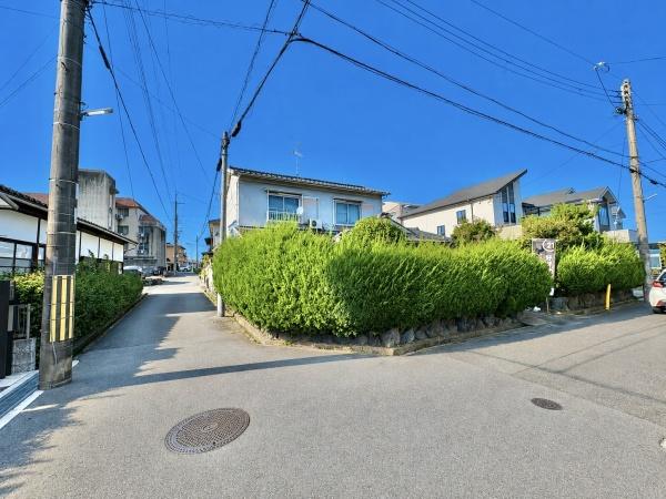 1号地