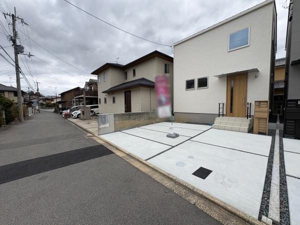 1号地