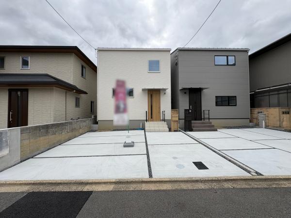1号地