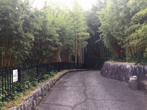 京都市西京区大枝南福西町２丁目の中古一戸建て(京都市洛西竹林公園)