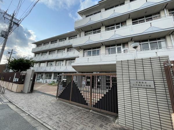 京都市伏見区下中町の土地(伏見南浜小学校)