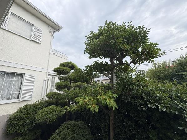 神戸市西区大津和２丁目の中古一戸建て
