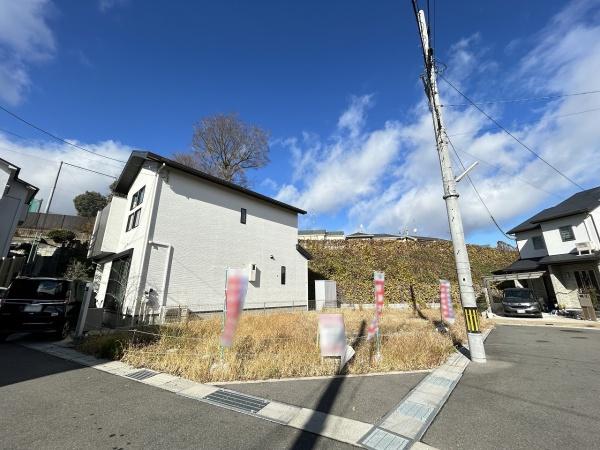 6号地
