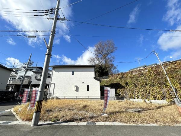 6号地