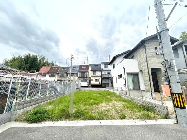 10号地