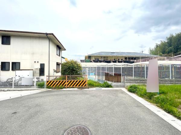 10号地