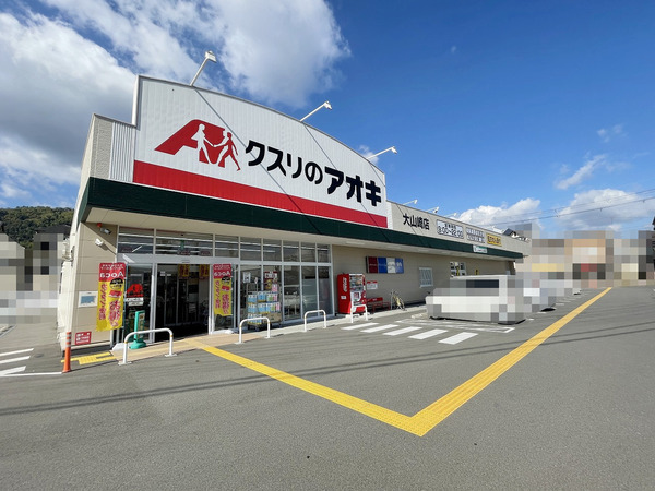 1号地(クスリのアオキ大山崎店)