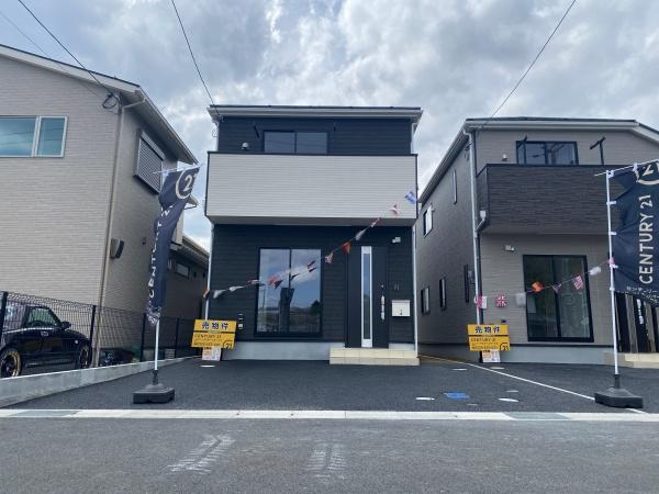 3号地
