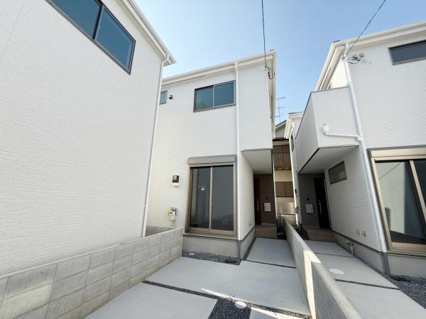 3号地