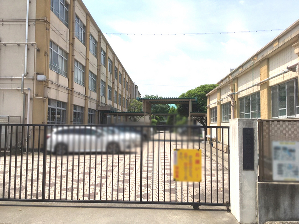 京都市西京区桂木ノ下町の土地(京都市立桂東小学校)