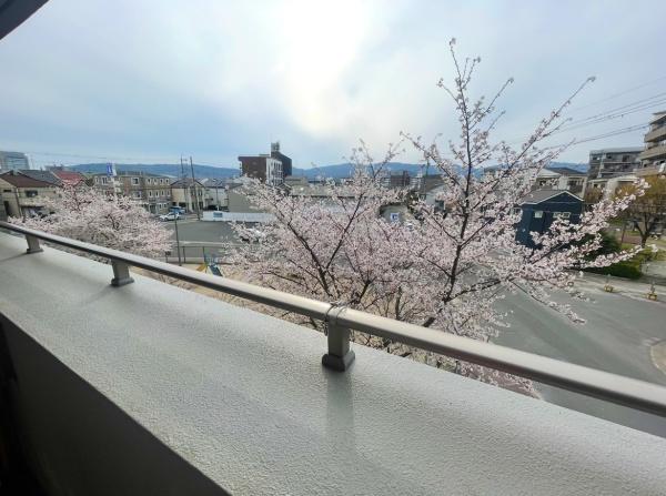 ヴェレーナ京都西向日