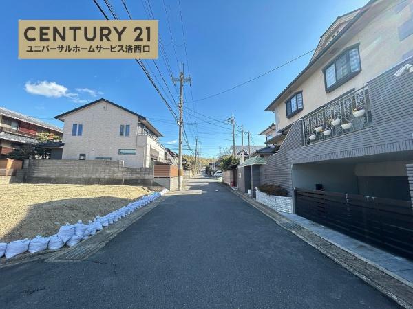 1期1号地