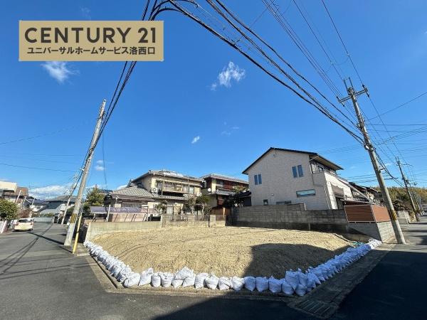 1期1号地