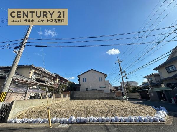 1期1号地