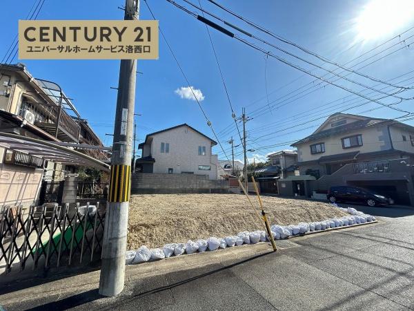 1期1号地