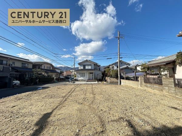 1期1号地