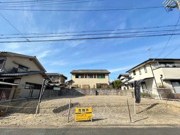 B号地