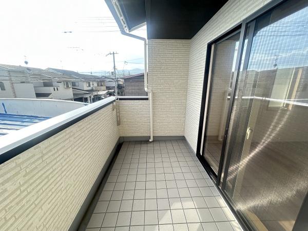 5号地