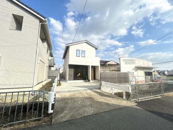 5号地