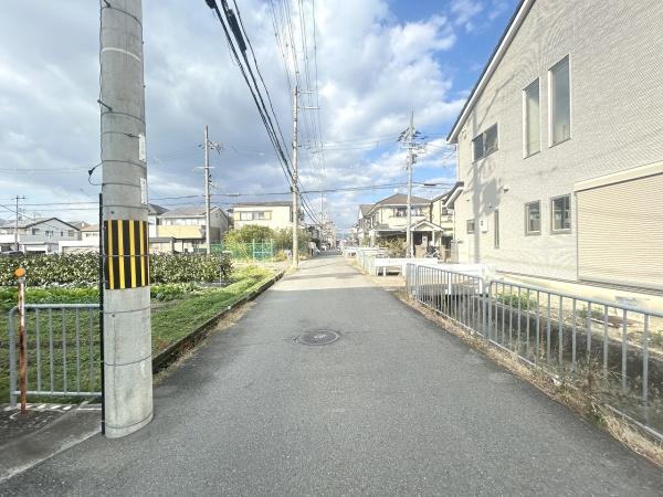 5号地