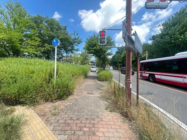 京都市西京区大枝北沓掛町６丁目の土地