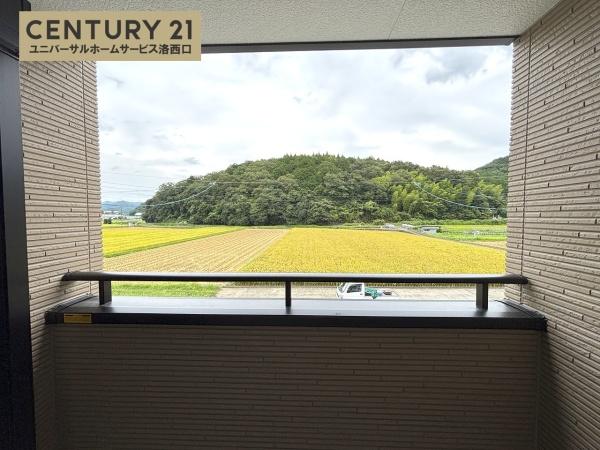 1号地