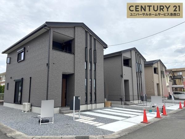 1号地