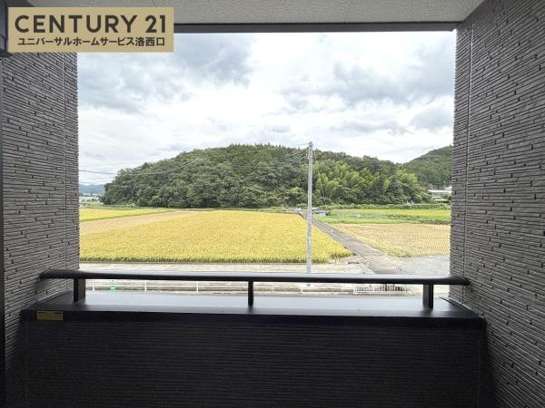 3号地