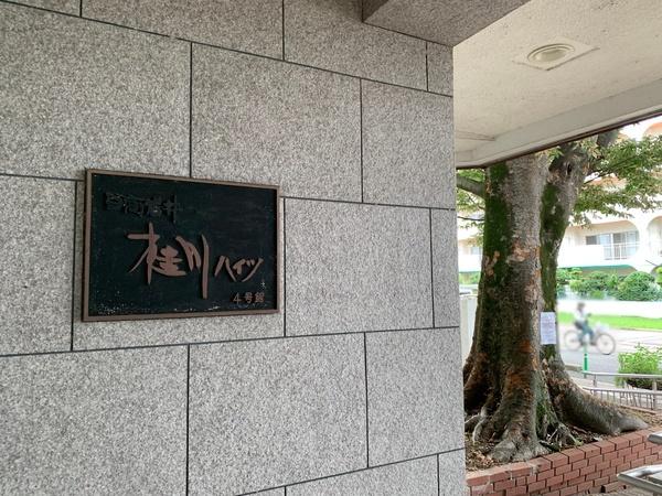 桂川ハイツ4号館