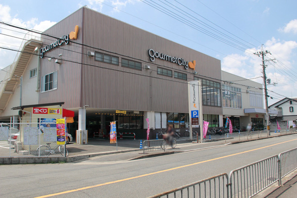 京都市西京区桂乾町の土地(グルメシティ上桂店)