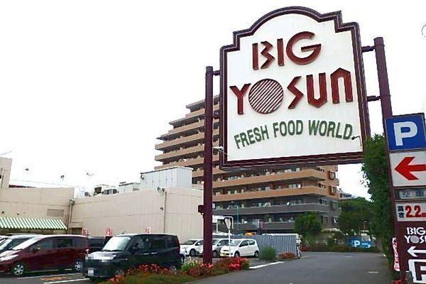 座間市ひばりが丘3丁目の土地(ビッグヨーサン座間ひばりが丘店)