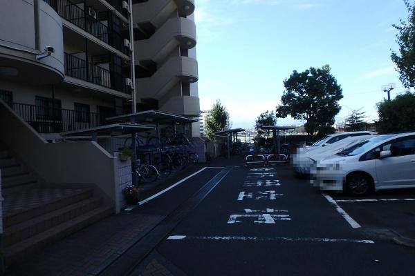 コスモさがみ野