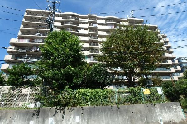コスモさがみ野