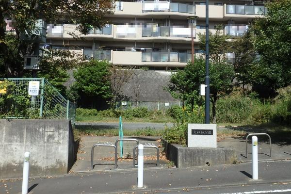 コスモさがみ野