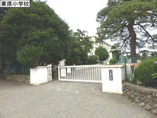 座間市栗原中央5丁目の土地(座間市立栗原小学校)