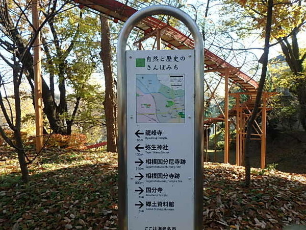 ロイヤルステージ海老名(清水寺公園)