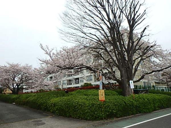 海老名コーポラスＢ棟