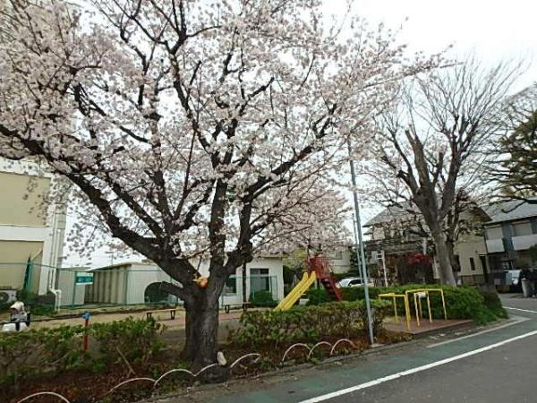 海老名コーポラスＢ棟