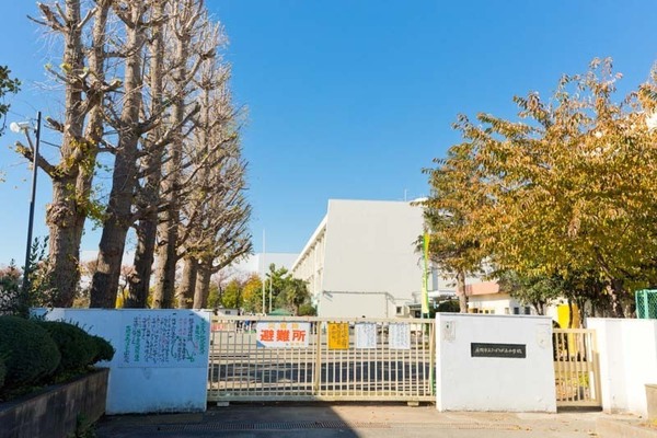 座間市ひばりが丘3丁目の土地(座間市立ひばりが丘小学校)