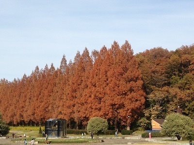厚木市下川入の土地(県立 相模原公園)