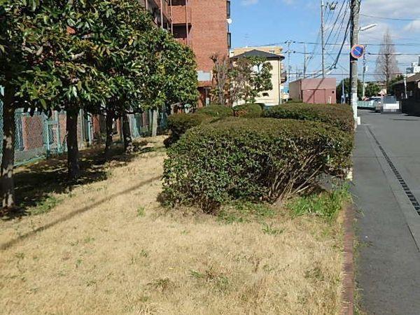 ライオンズマンション相模野