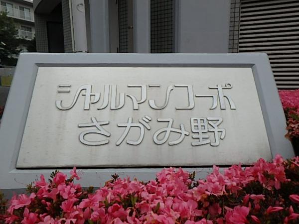 シャルマンコーポさがみ野