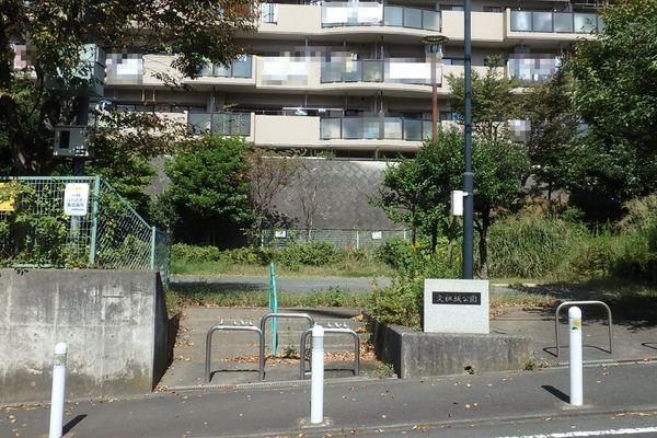コスモさがみ野